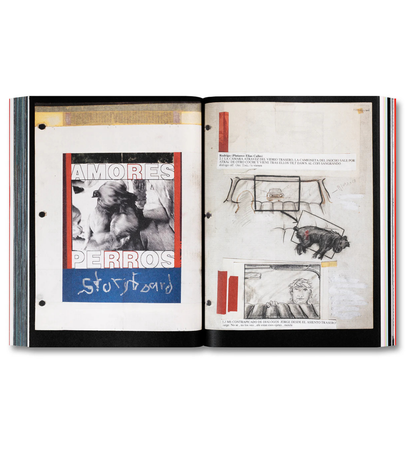 Alejandro G. Iñárritu: Amores Perros