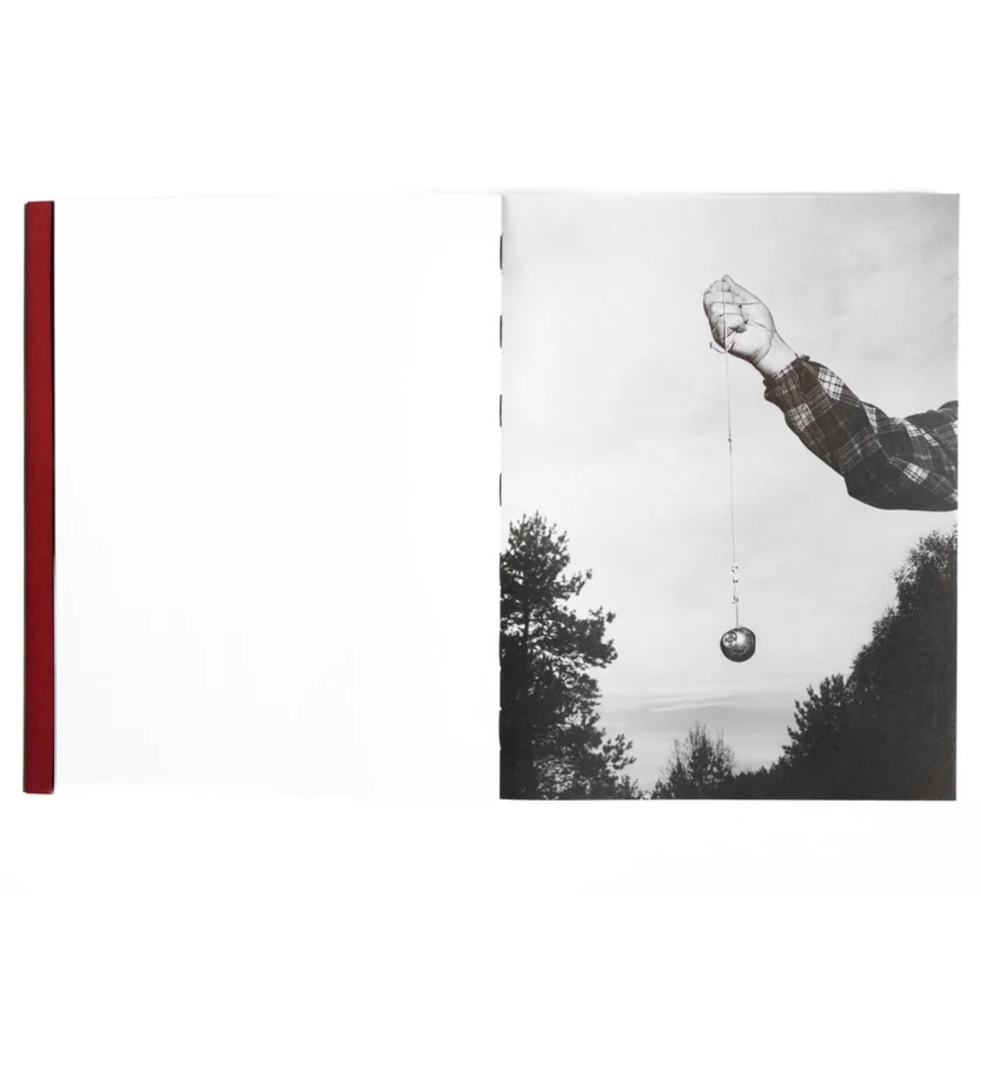 Tomasz Kawecki: IN PRAISE OF SHADOW