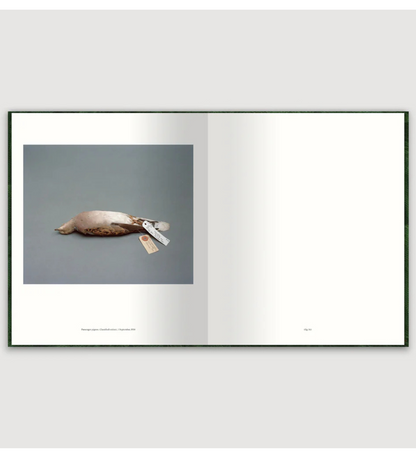 Zed Nelson: The Anthropocene Illusion (pre-order signed copies)