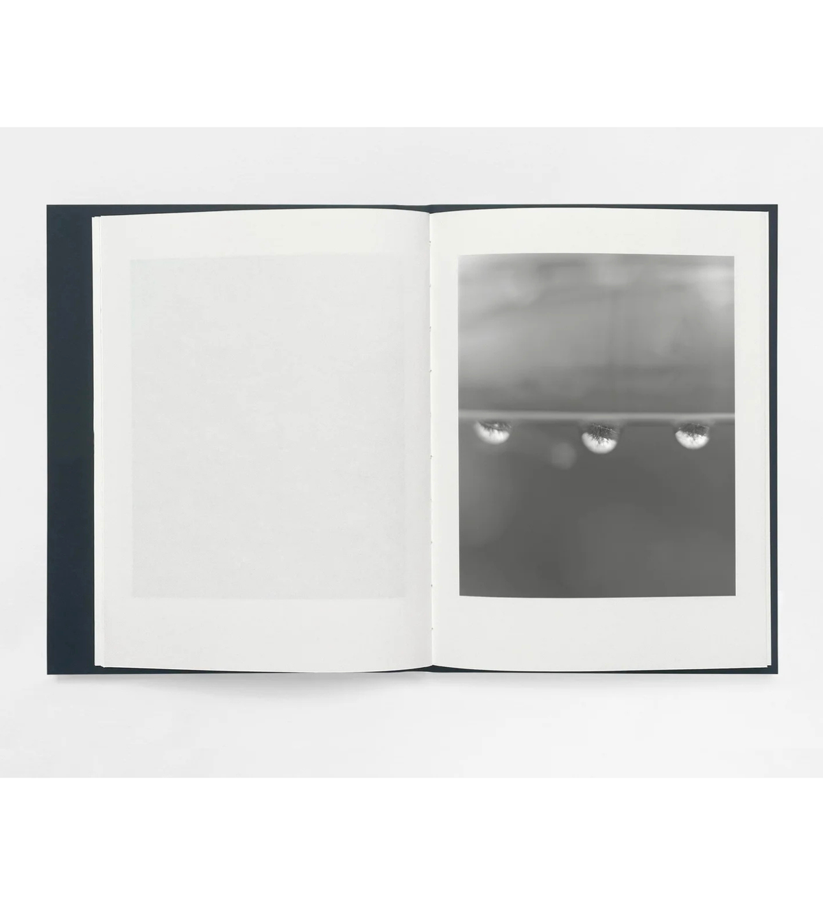 Sam Laughlin Sam Laughlin: Gathering Light (with signed print) – TPG Bookshop
