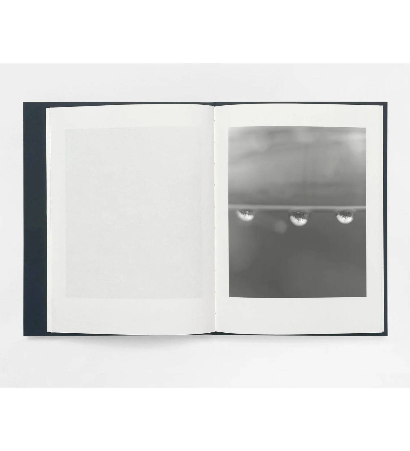 Sam Laughlin: Gathering Light (with signed print)