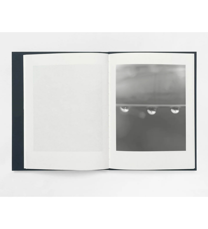 Sam Laughlin: Gathering Light (with signed print)