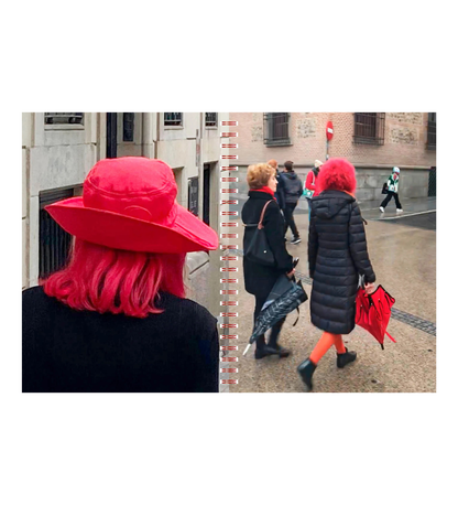 Ángela Suárez: Birds of Paradise