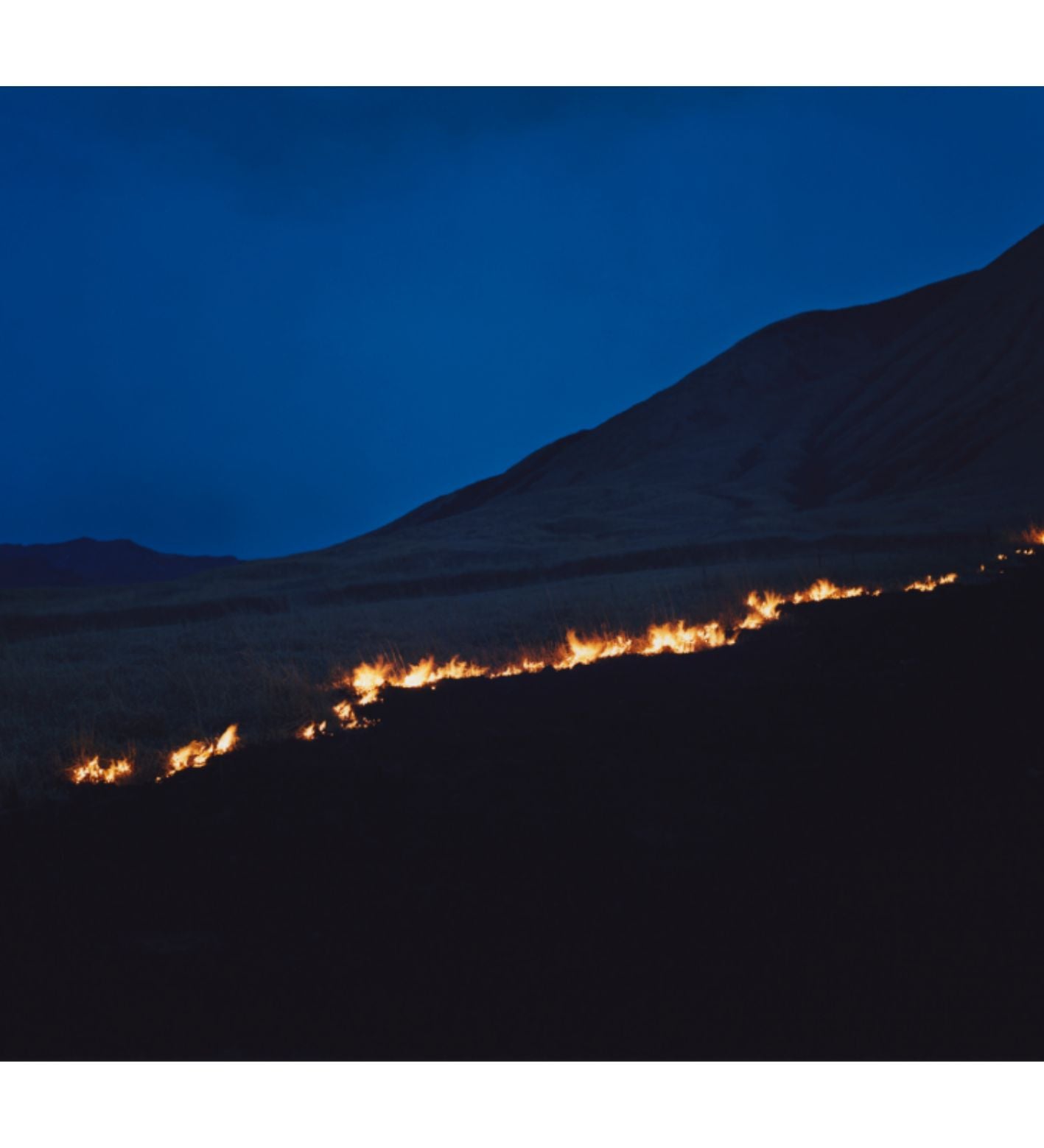 Rinko Kawauchi: At the edge of the everyday world