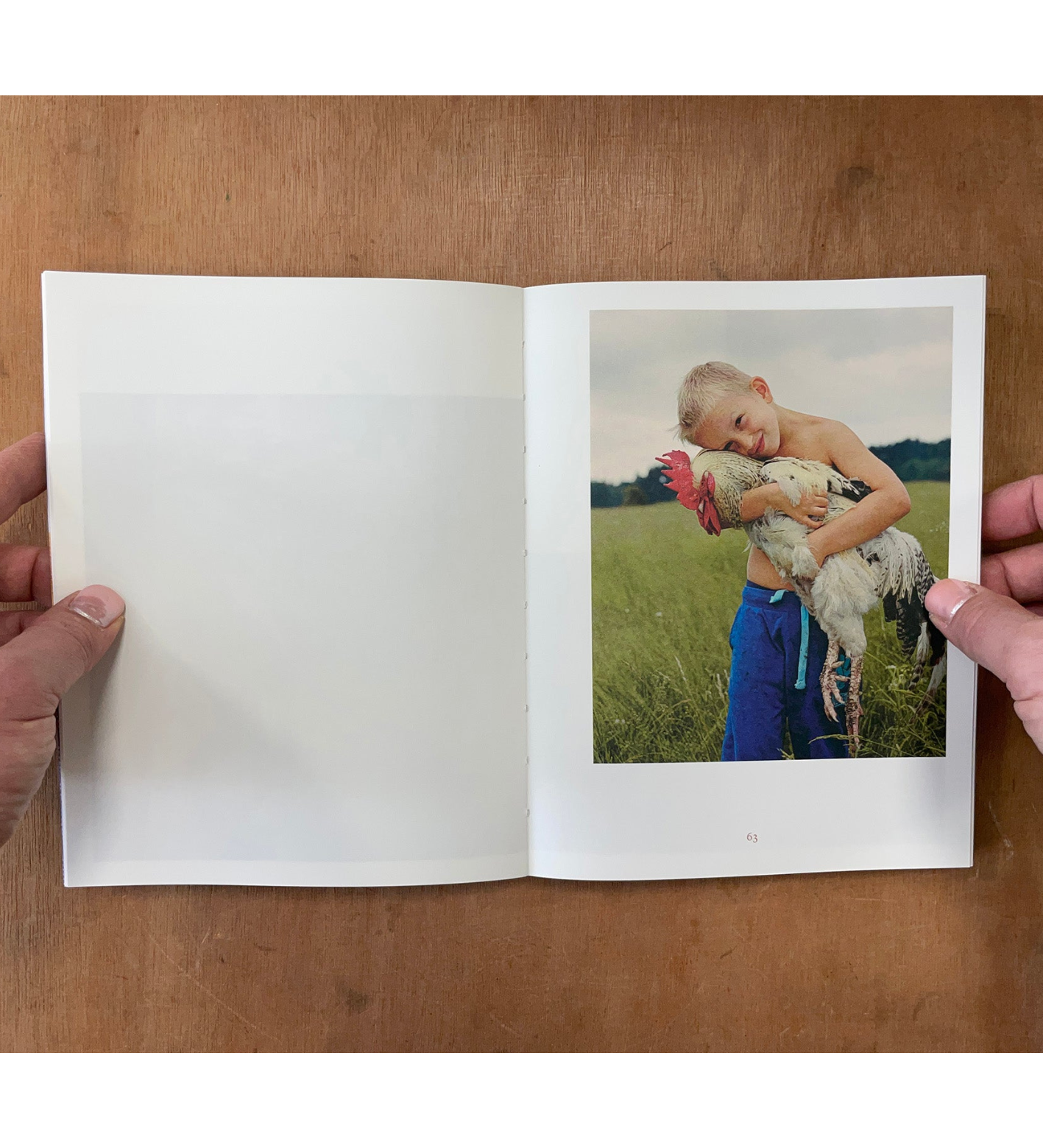 Anna Orłowska: Warm Mother Cold Mother