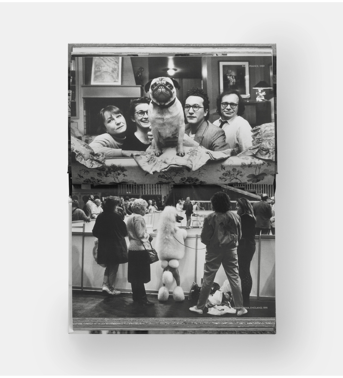 Elliott Erwitt: DogDogs