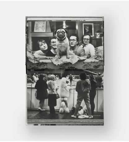 Elliott Erwitt: DogDogs