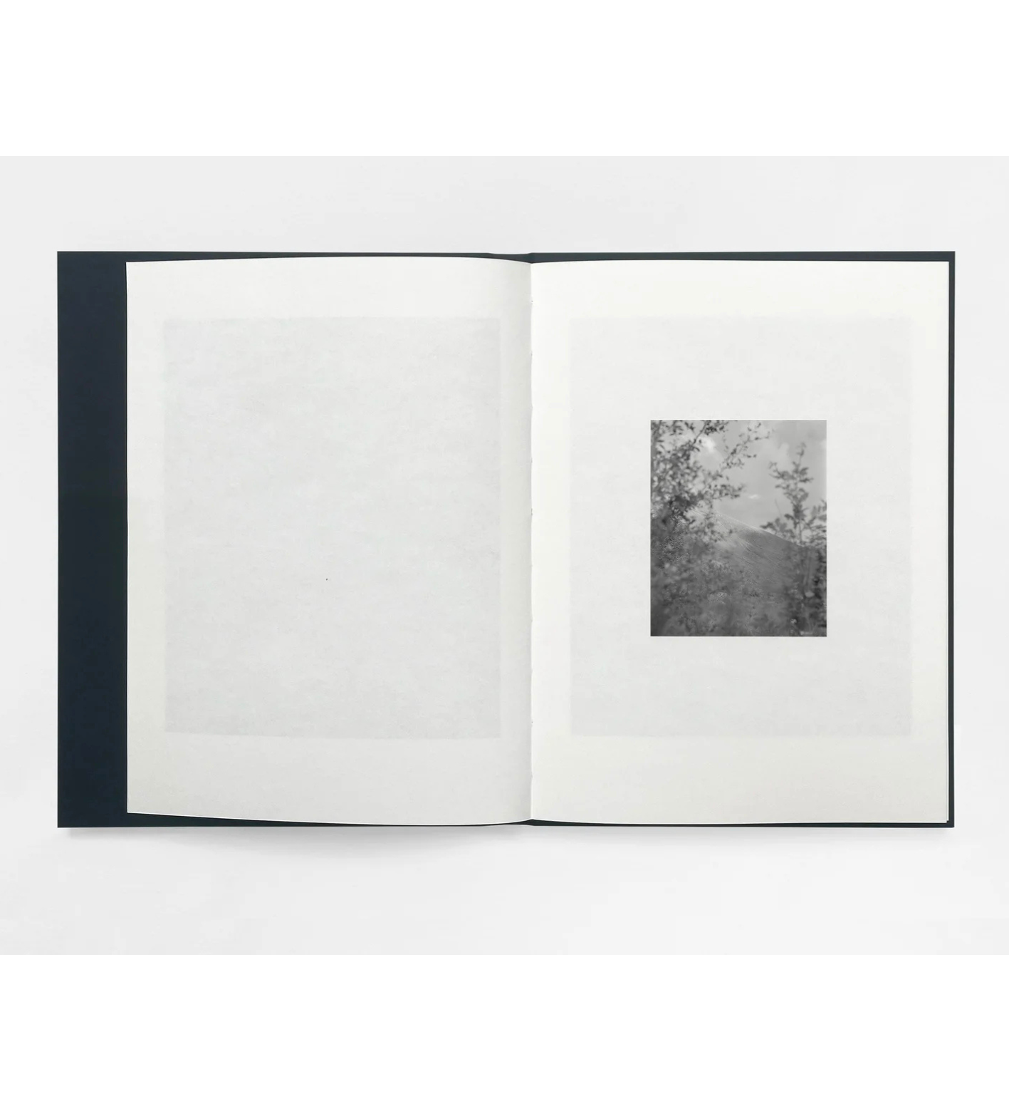 Sam Laughlin: Gathering Light (with signed print)