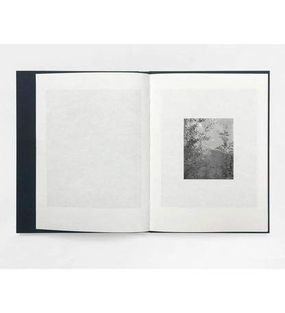 Sam Laughlin: Gathering Light (with signed print)