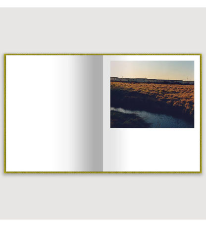 Laura McCluskey: Close to Home (signed)