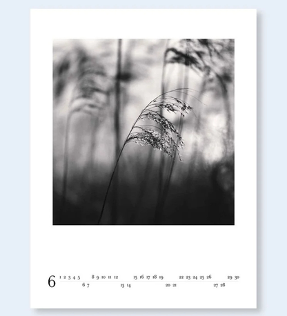 2026 Michael Kenna Calendar (pre-order signed copies)