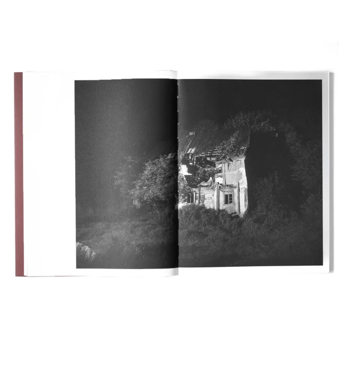 Tomasz Kawecki: IN PRAISE OF SHADOW