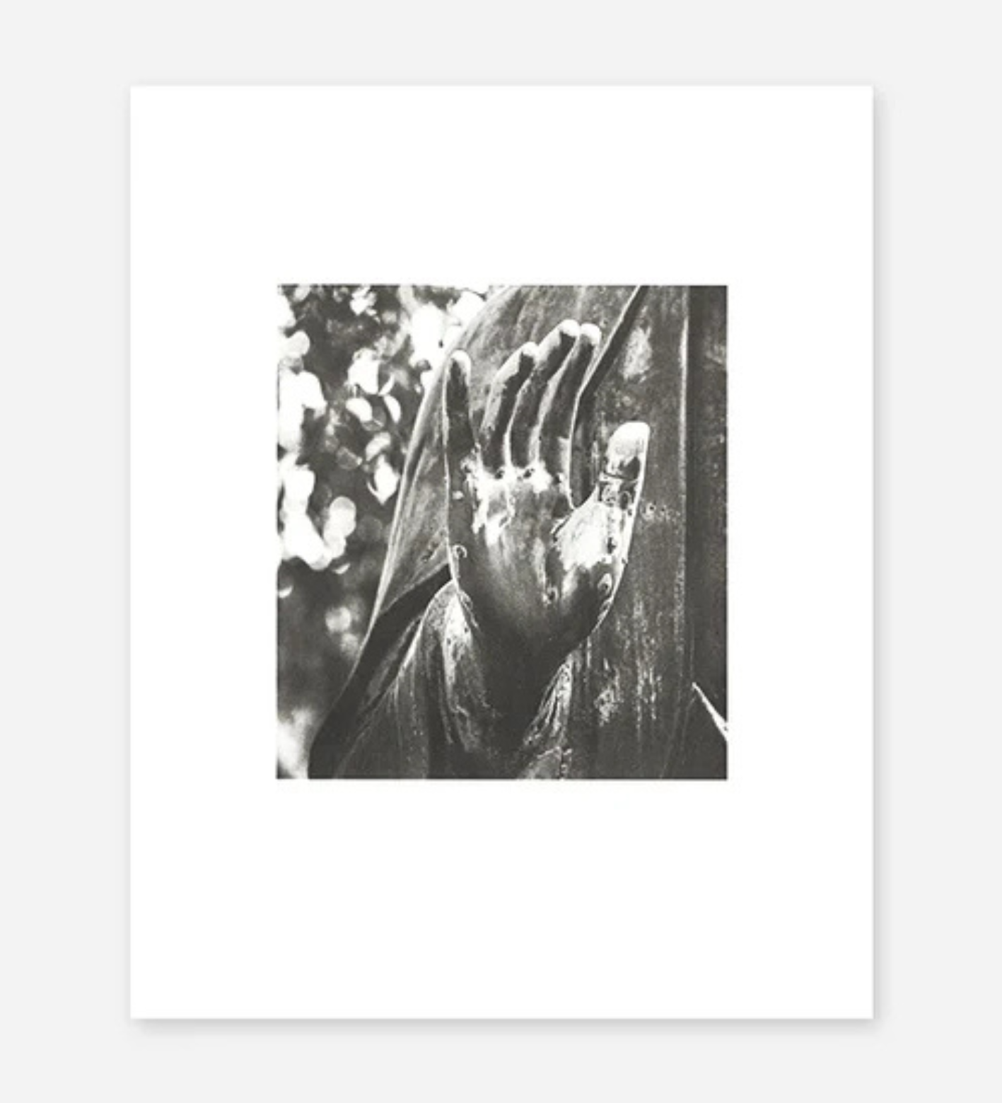 Michael Kenna: Shikoku collotype portfolio (pre-order signed copies)