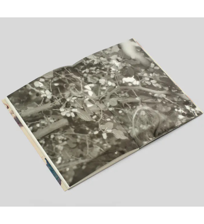 Katya Lesiv: I am going home to eat mulberries from the tree