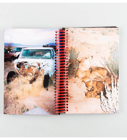 Louise Mutrel: DESERT GRILL DOLLAR TREE FOSSILS TRAP