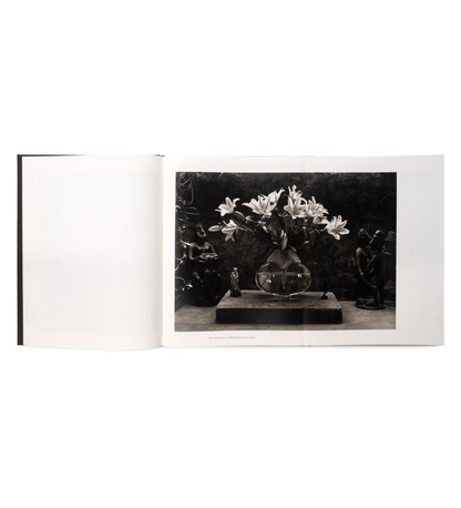 Don McCullin: The Stillness of Life