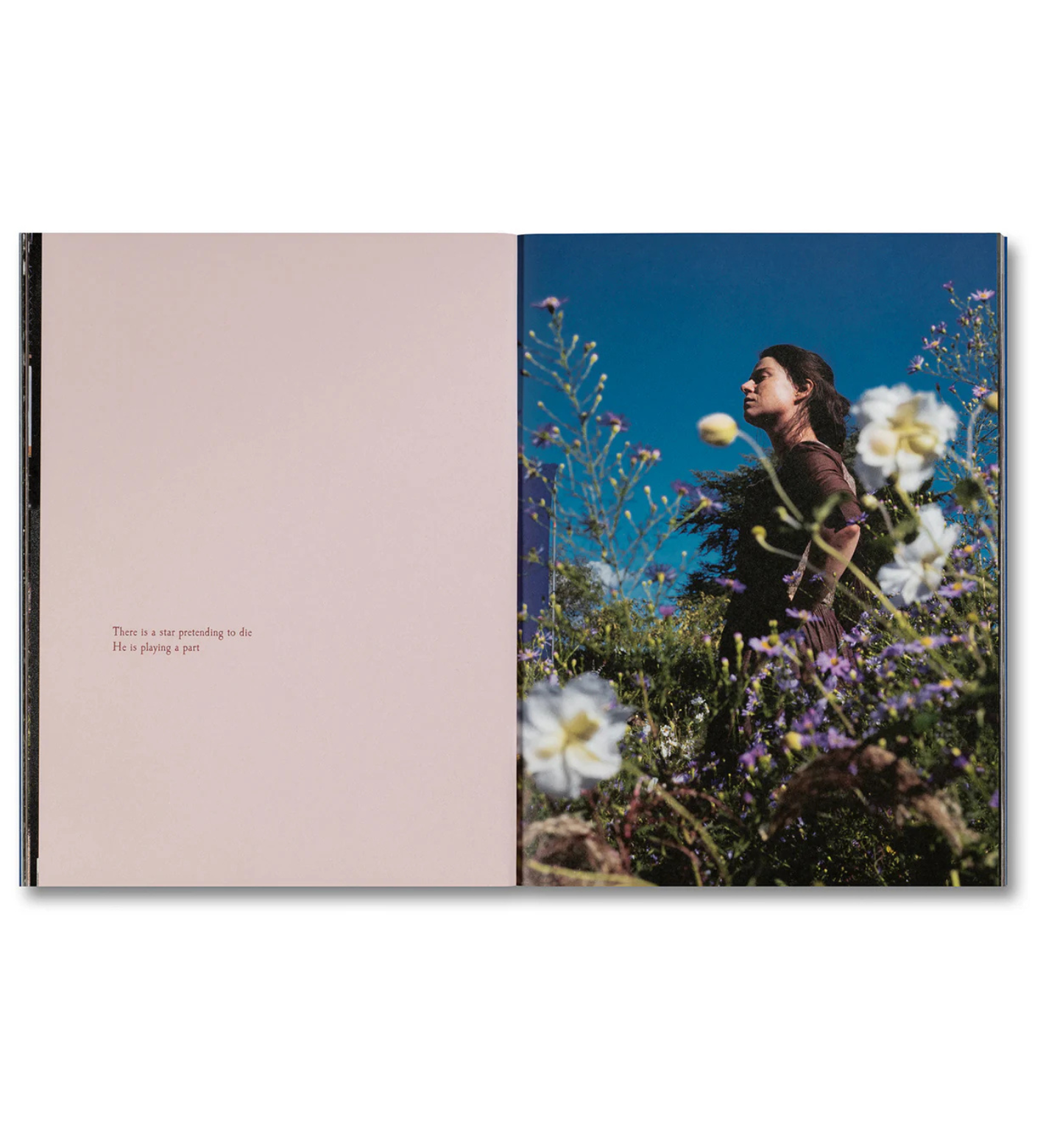 Even as a Shadow, Even as a Dream