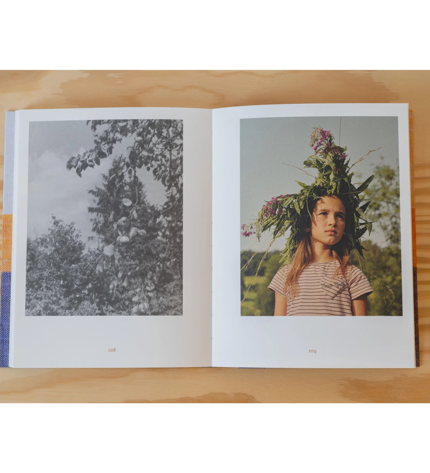 Anna Orłowska: Warm Mother Cold Mother