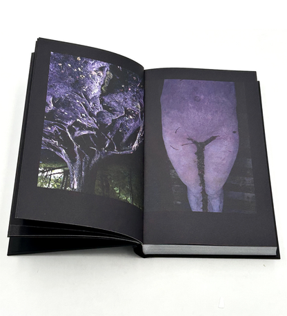 Boris Mikhailov: "...in search of window of Opportunity / Exodus..."