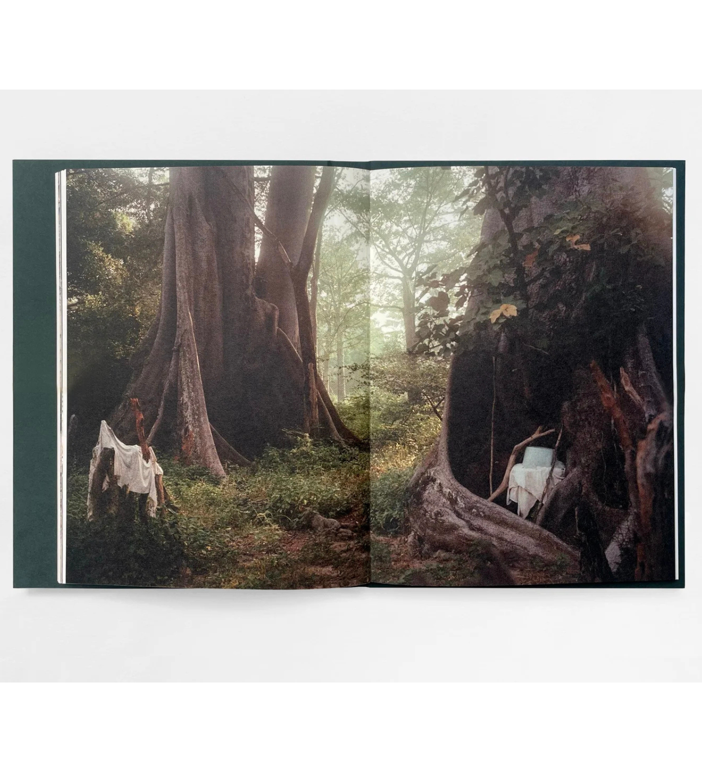 Henry Roy: The Land of Haunted Forests (with signed print)
