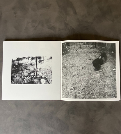 Lucas Eye: PICTURE THEM SHIVER (signed & numbered edition of 10)