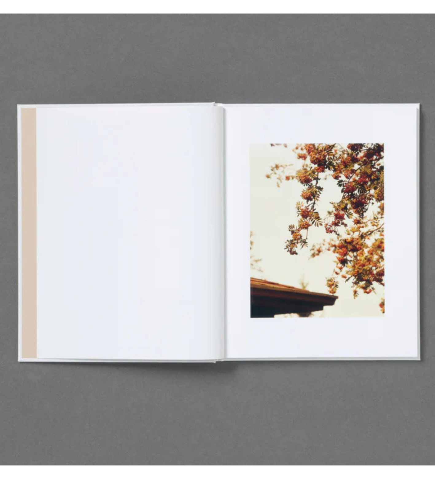 Roe Ethridge: In the Beginning