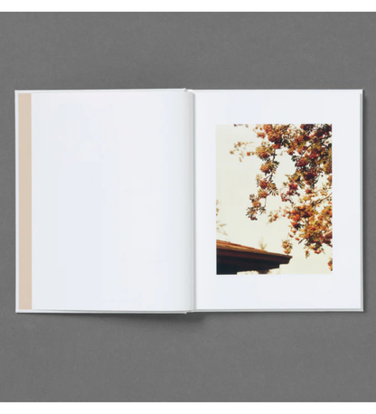 Roe Ethridge: In the Beginning