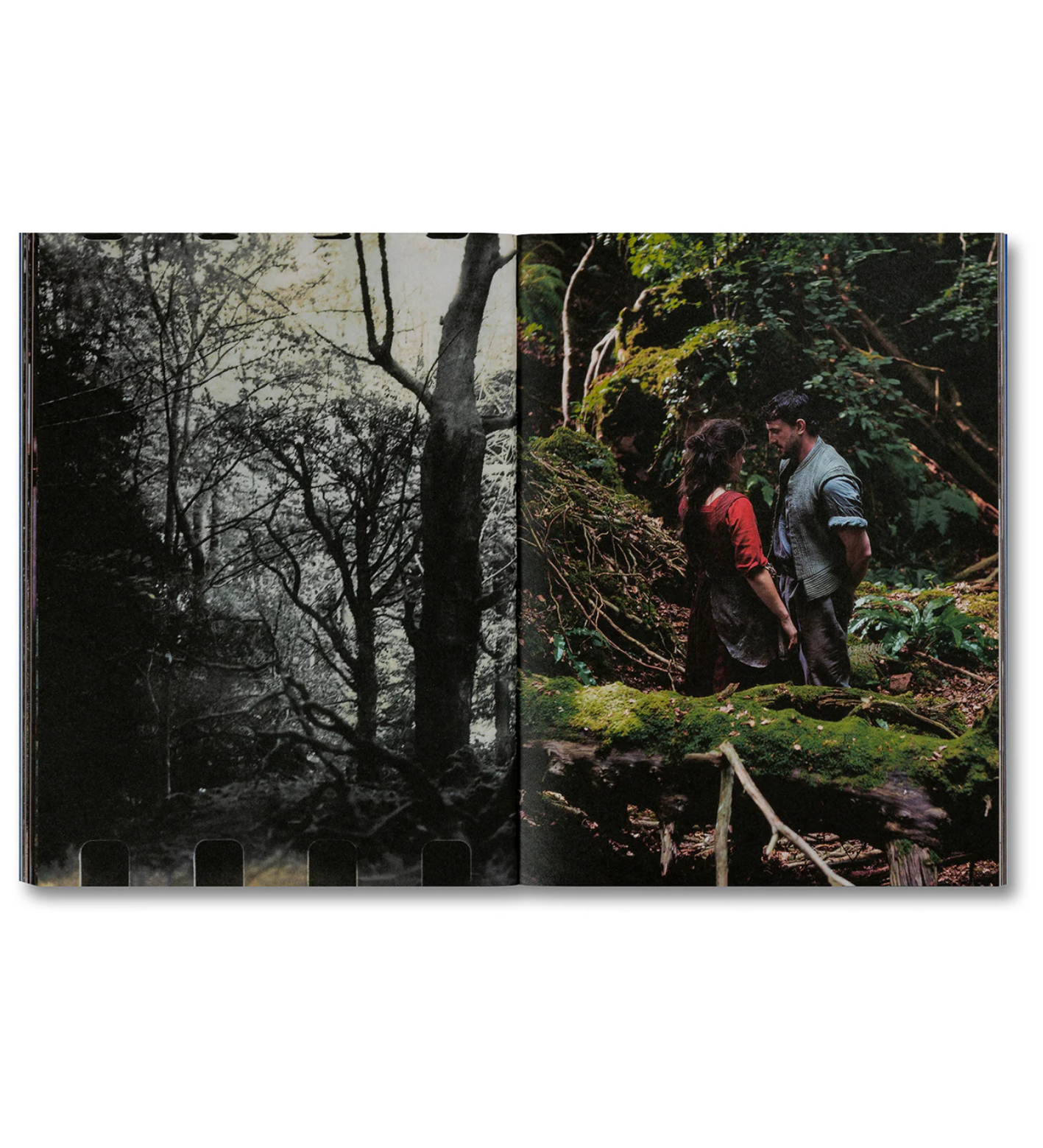 Even as a Shadow, Even as a Dream