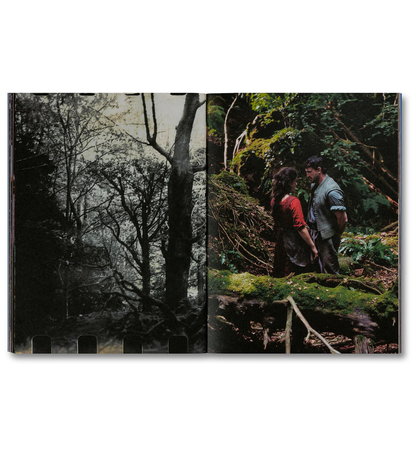 Even as a Shadow, Even as a Dream