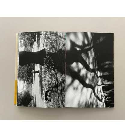 Kyun Ngui: A Nervous Symmetry