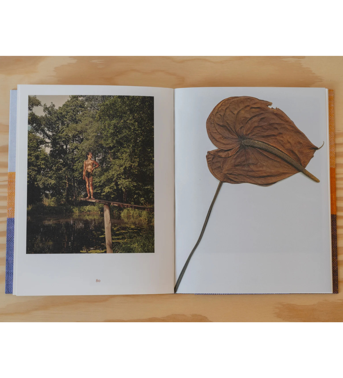 Anna Orłowska: Warm Mother Cold Mother