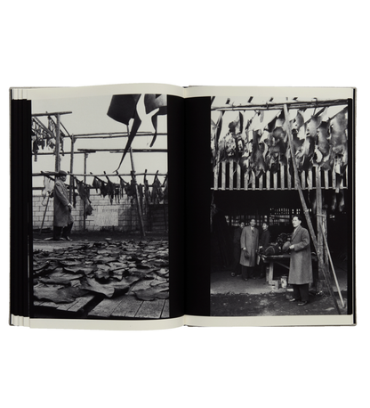 Yukichi Watabe: A Criminal Investigation