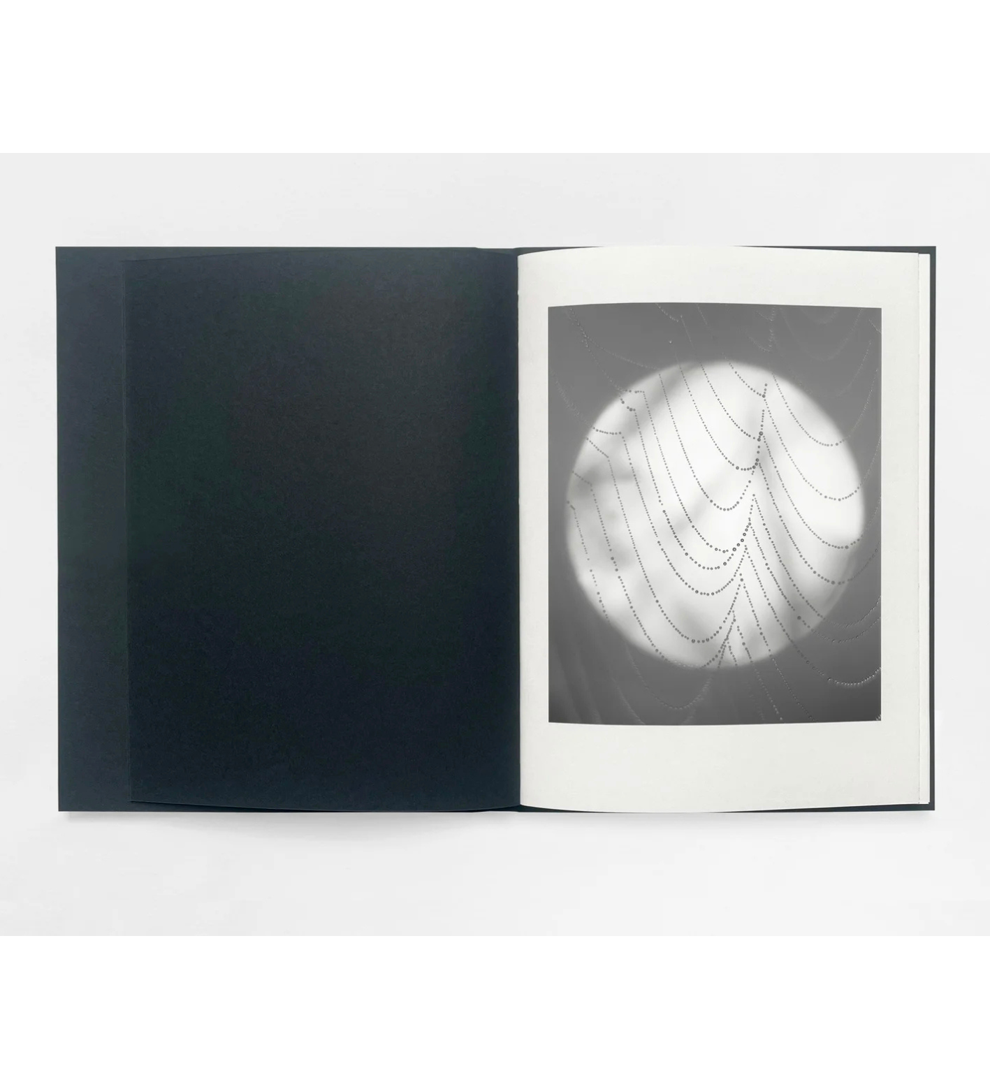 Sam Laughlin: Gathering Light (with signed print)