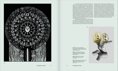 Cut Out: A Feminist History of Photo Collage, Montage and Assemblage