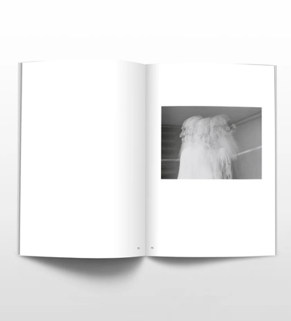 Amak Mahmoodian: Zanjir