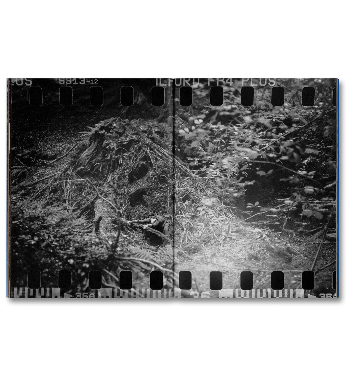 Even as a Shadow, Even as a Dream