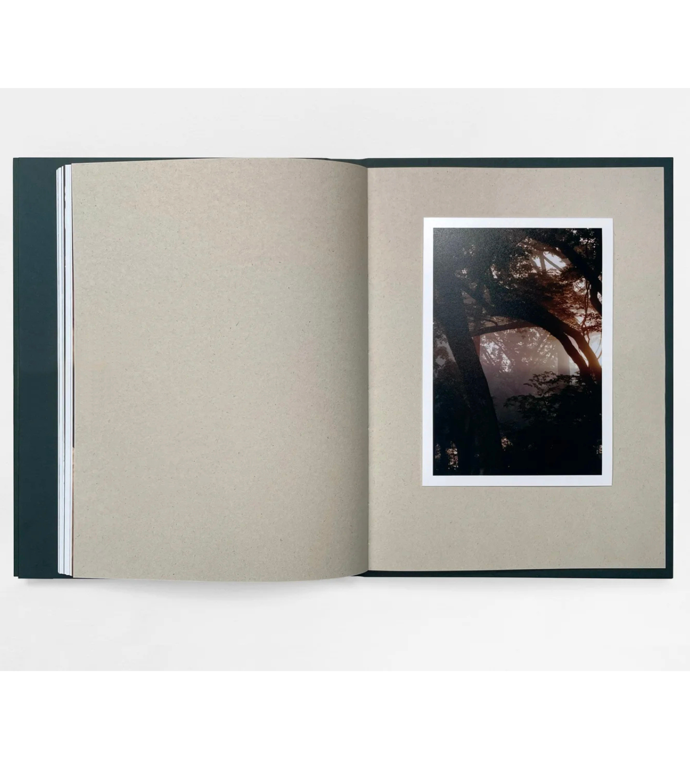 Henry Roy: The Land of Haunted Forests (with signed print)