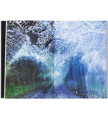 Iwane, Ai: A New River Flows (signed)