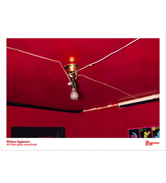 William Eggleston: All that goes unnoticed A2 Print Poster (Lightbulb)