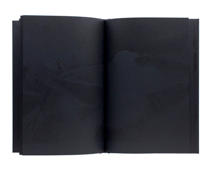 Nomura, Sakiko: Another Black Darkness