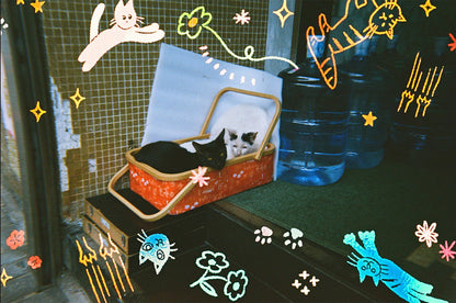 Retocolor Cat'cha 400 35mm Single Use Camera 27 exposures