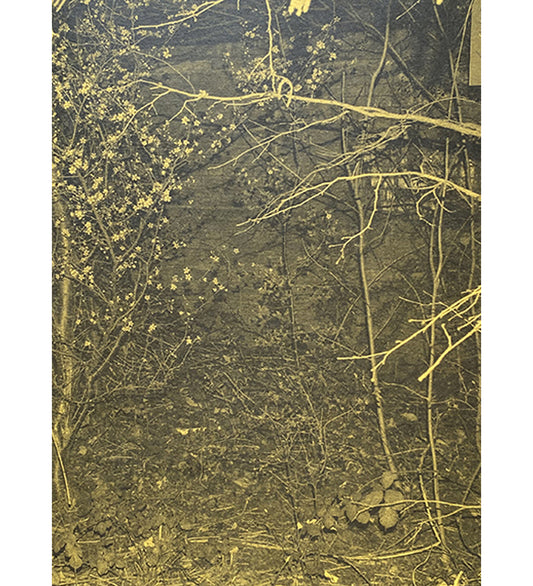 Neil Drabble: Closer (signed)