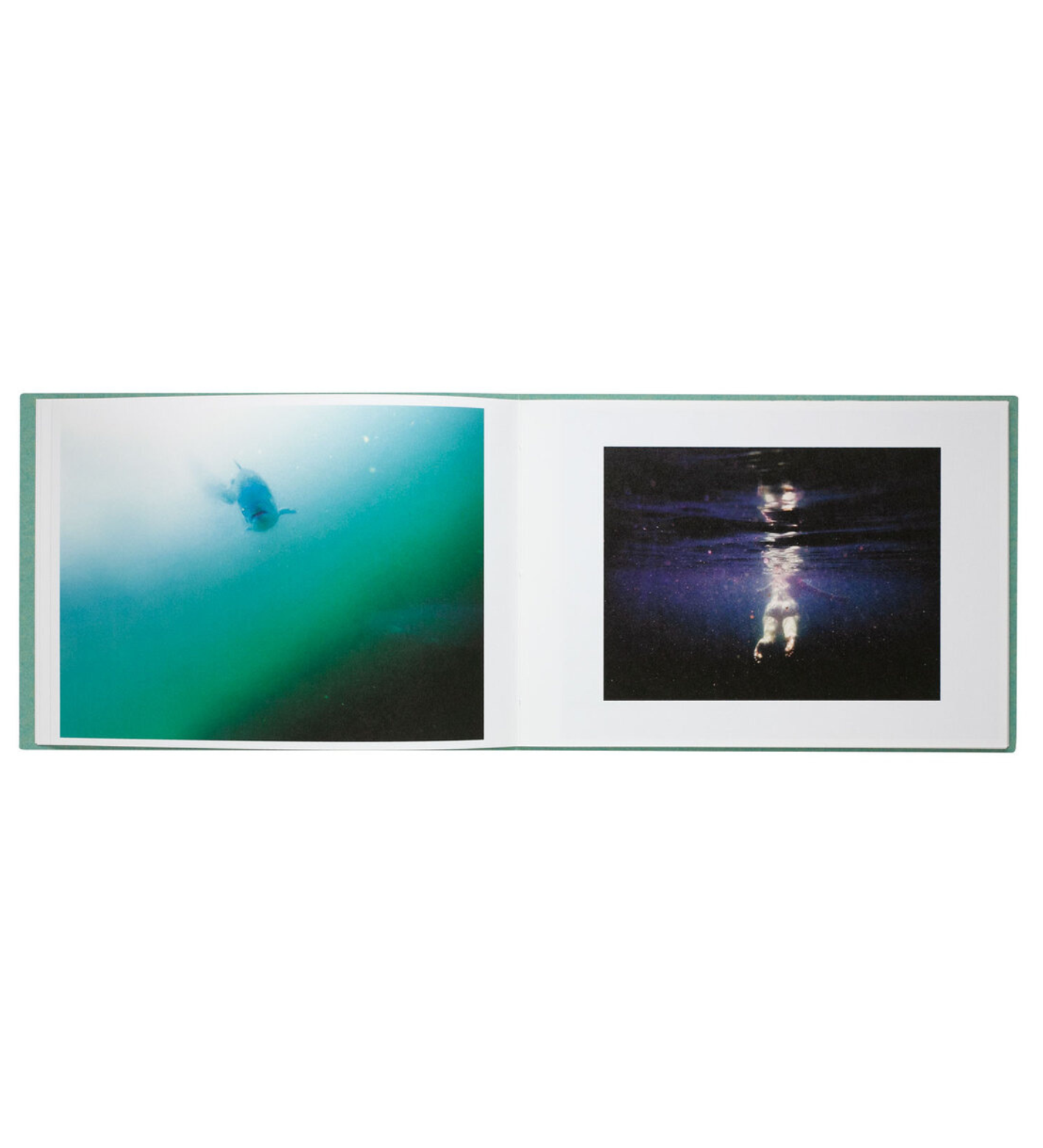 Iwane, Ai: Coho Come Home (signed, limited edition)
