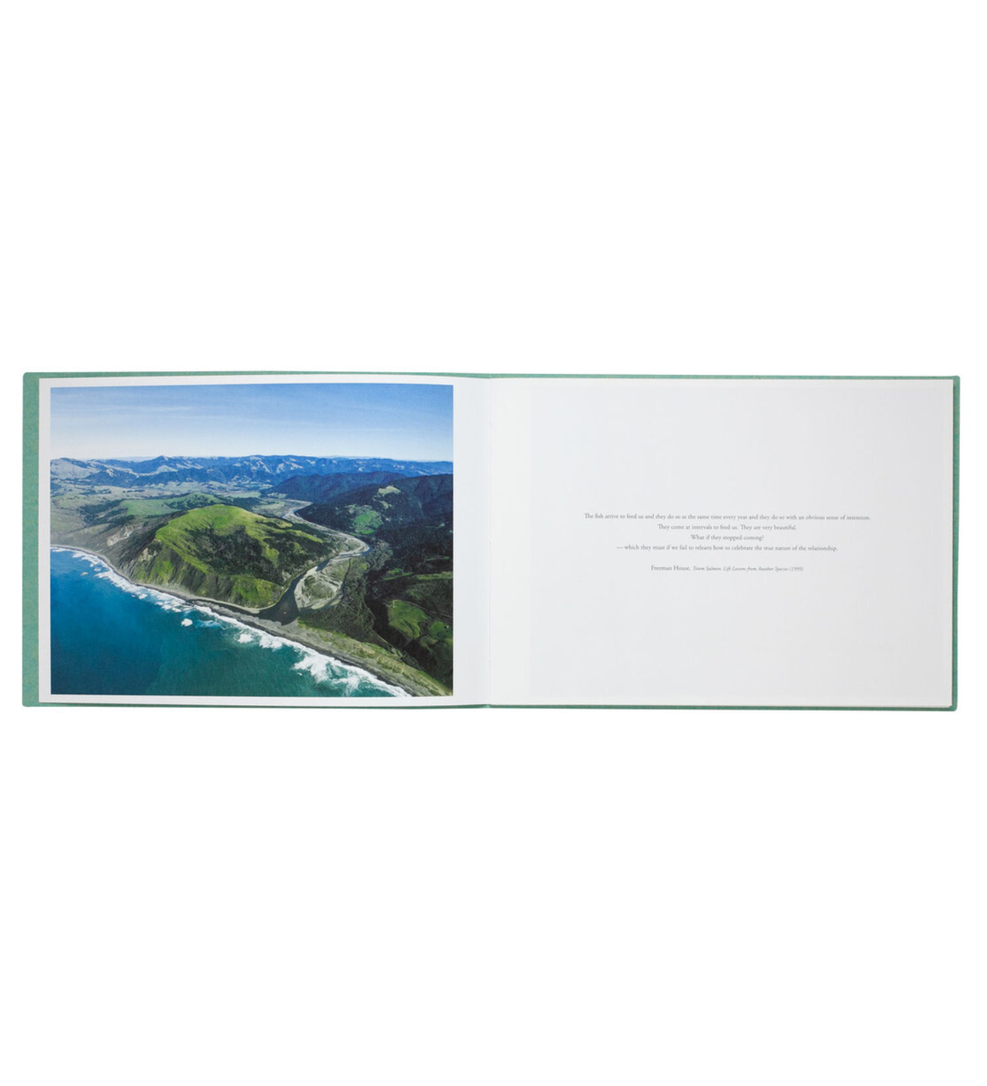 Iwane, Ai: Coho Come Home (signed, limited edition)