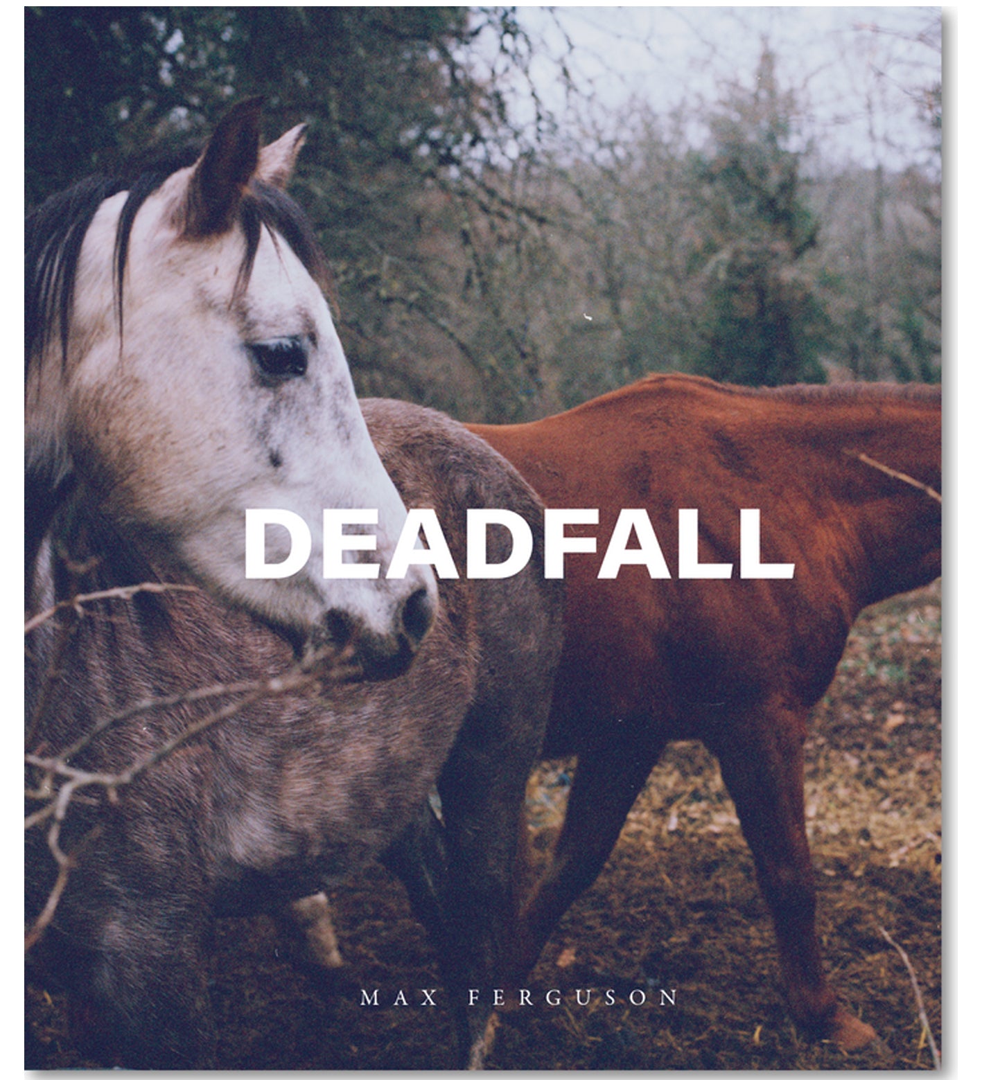 Max Ferguson: Deadfall – TPG Bookshop