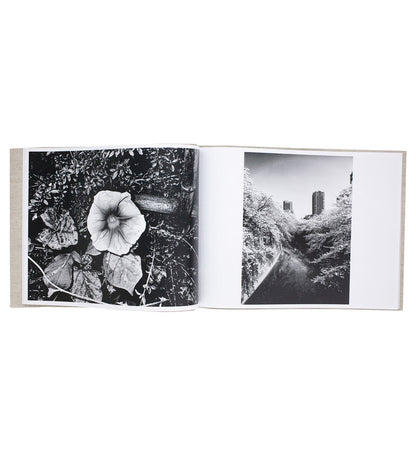 Daido Moriyama: Flowers (Signed)