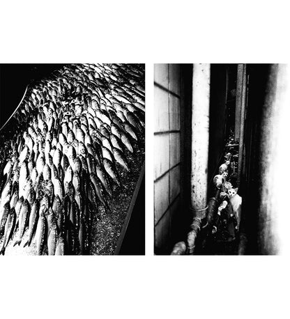 Avo Tavitian / Daido Moriyama: Los Angeles x Shinjuku