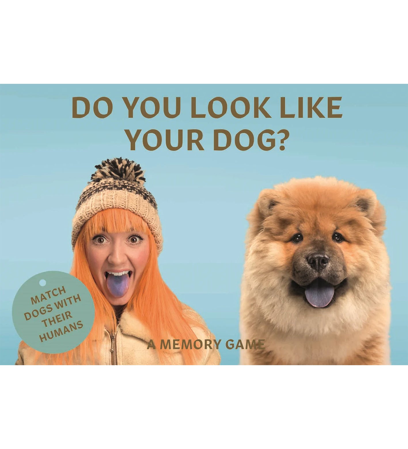 Do You Look Like Your Dog Match Dogs with Their Humans:  A Memory Game