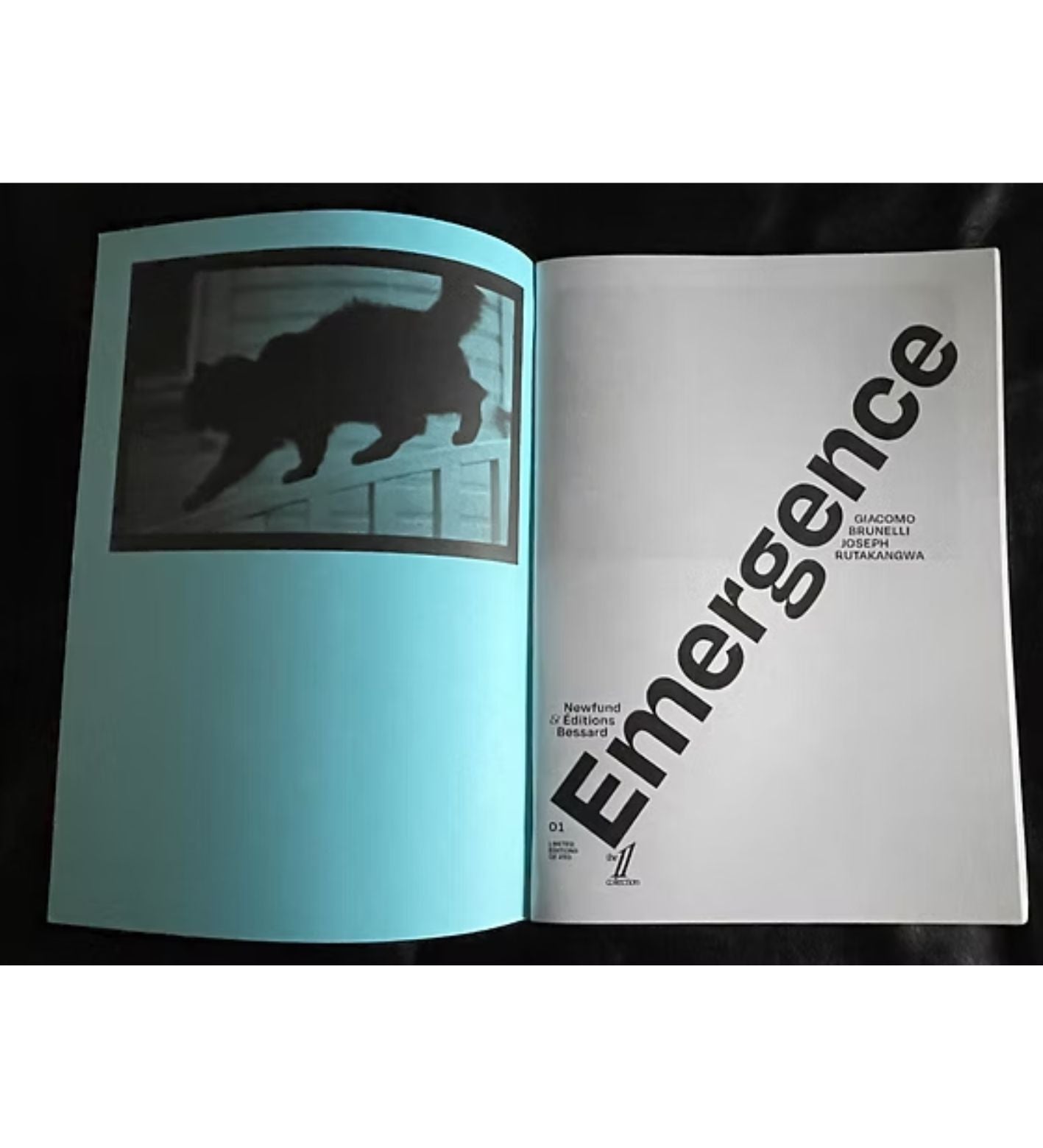 Giacomo Brunelli: Emergence (signed and numbered)