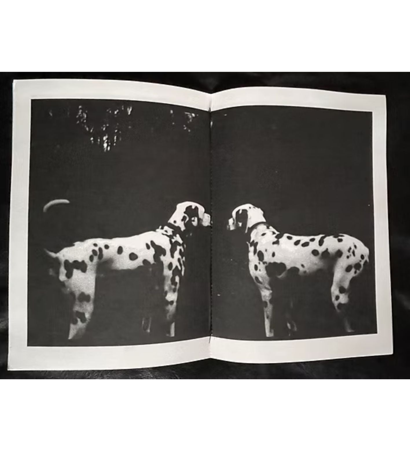 Giacomo Brunelli: Emergence (signed and numbered)